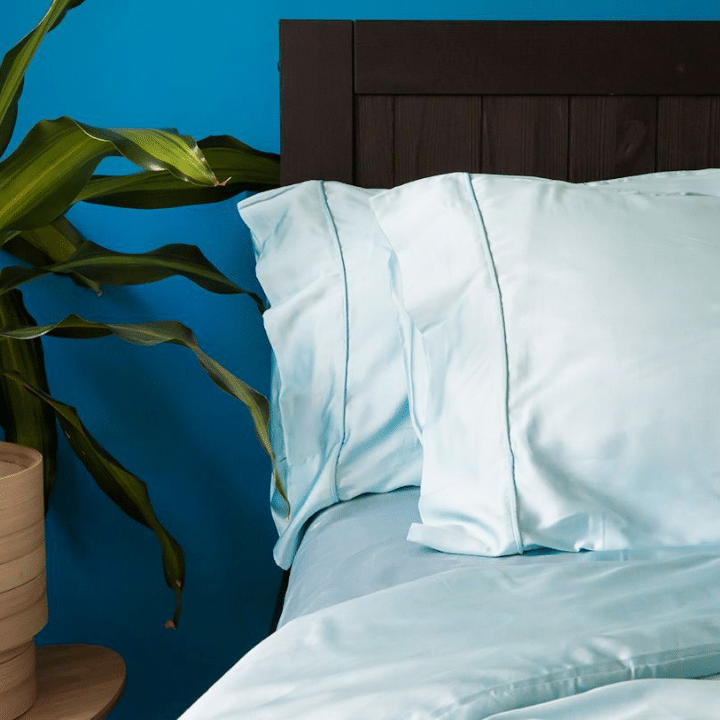 Eco & Ethical: Bamboo Pillow Case Set