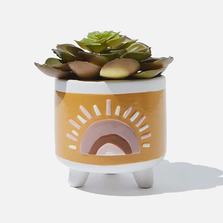 Small Planter by TYPO Cotton On