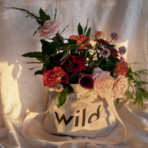 February Events: The Wild Lot Pop-Up
