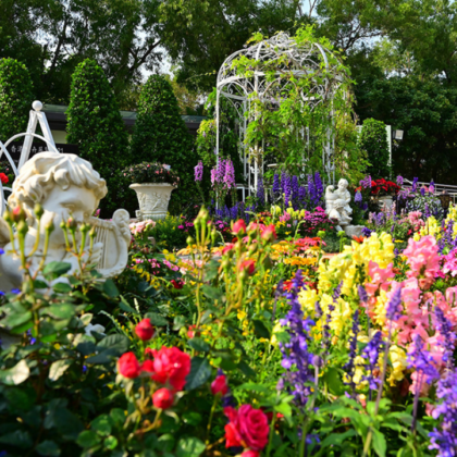 April Events: Hong Kong Flower Show