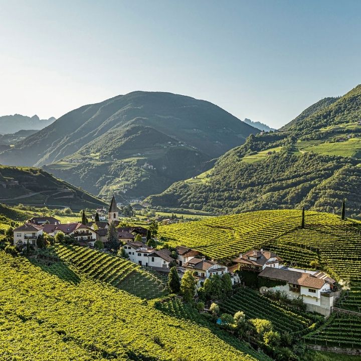 Alto Adige Wines