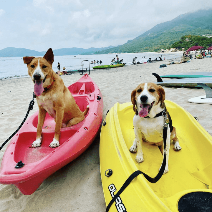 Kayaking Hong Kong: Cheung Sha