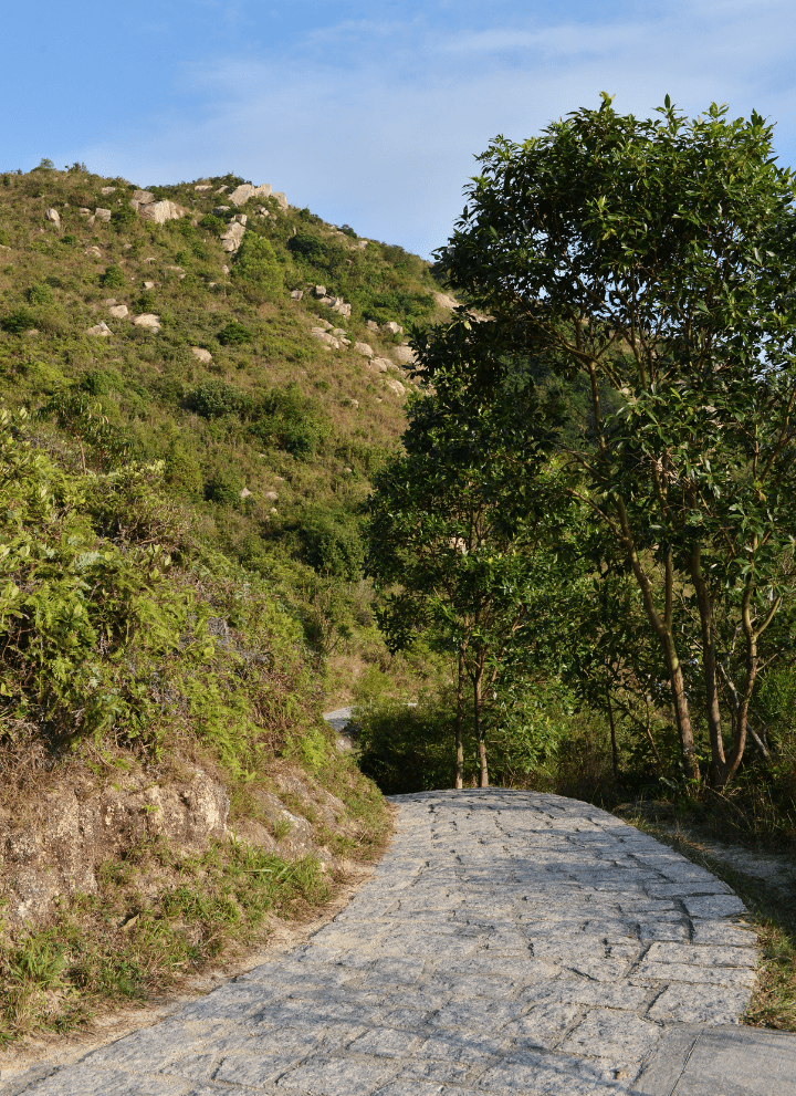 Lamma Island Guide: Lamma Island Family Walk Trail