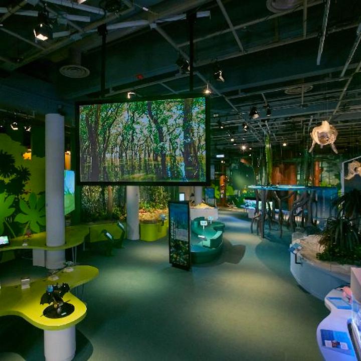 museums hong kong science museum earth science biodiversity energy