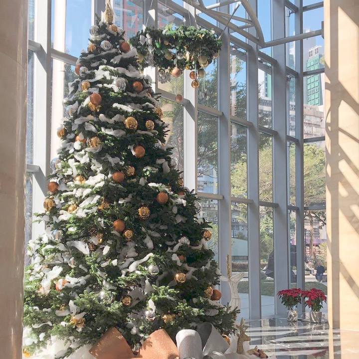 Christmas Trees Hong Kong Chun Hing Gardening Home & Decor Christmas