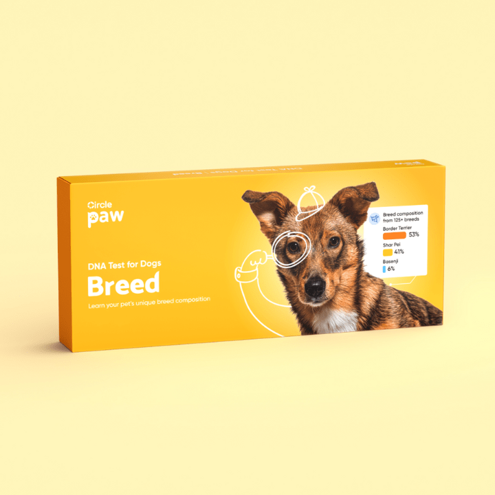 Gift Ideas For Everyone, 2022 Christmas Gift Guide: Circle Paw Breed DNA Test