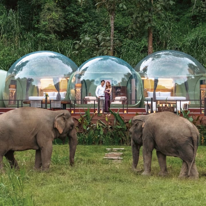 anantara golden triangle elephant camp and resort hotel bucket list