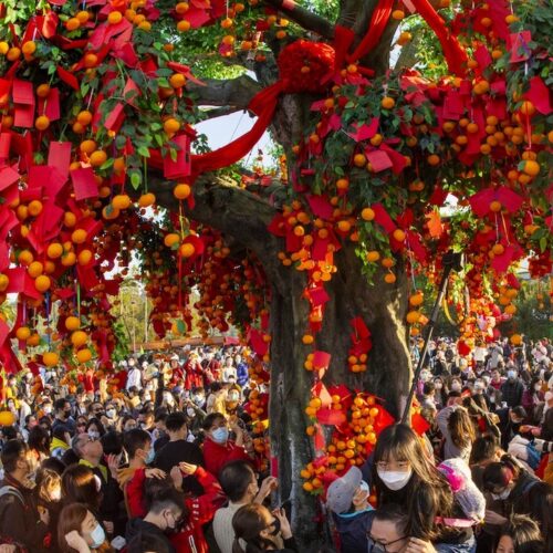 2024 Lam Tsuen Well-Wishing Festival, Wishing Tree & New Night Market Chinese New Year In Hong Kong