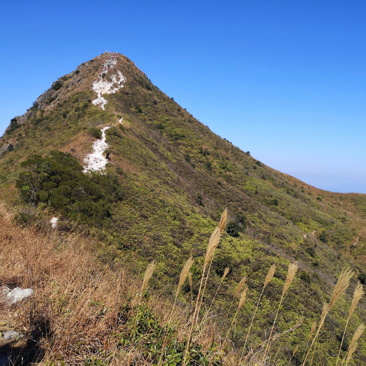 Hardest Hong Kong HIkes: Sharp Peak