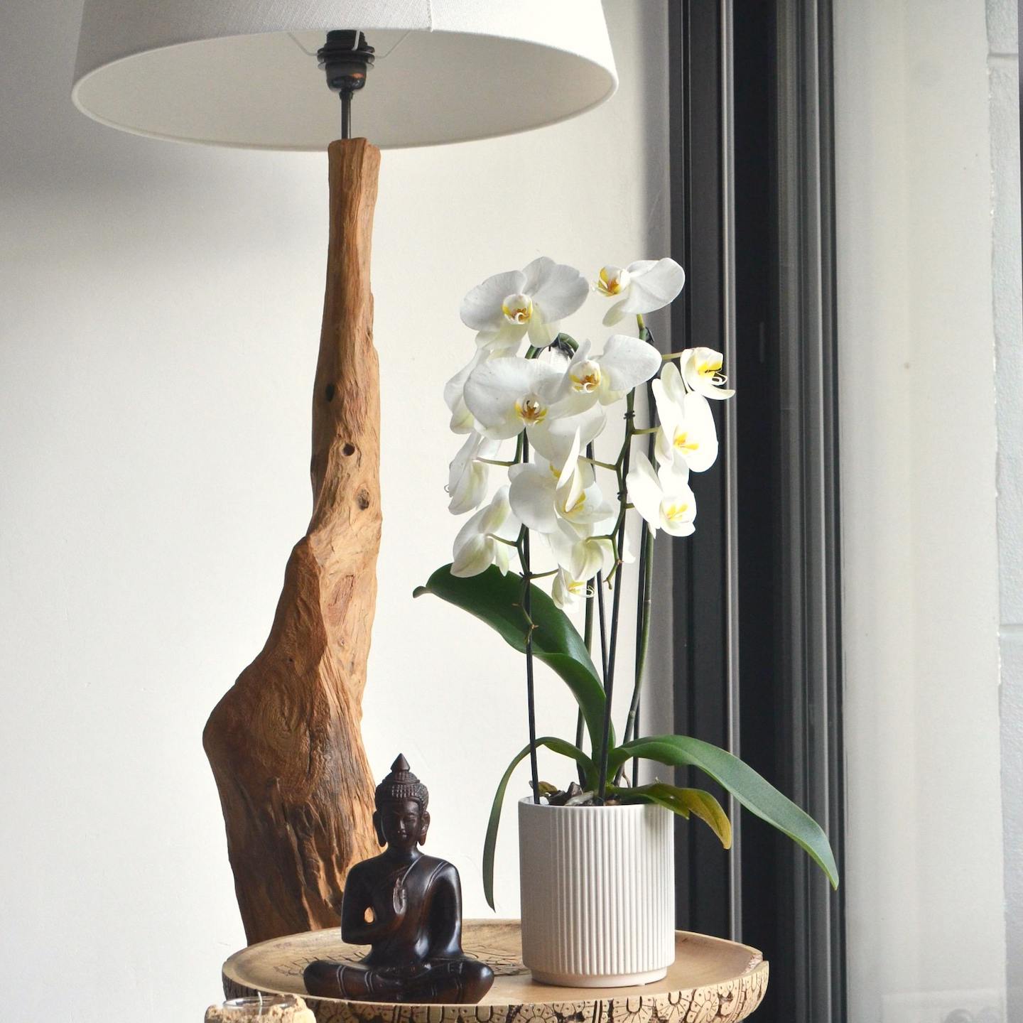 indoor garden planter WallyGro - Eco Wall Planters
