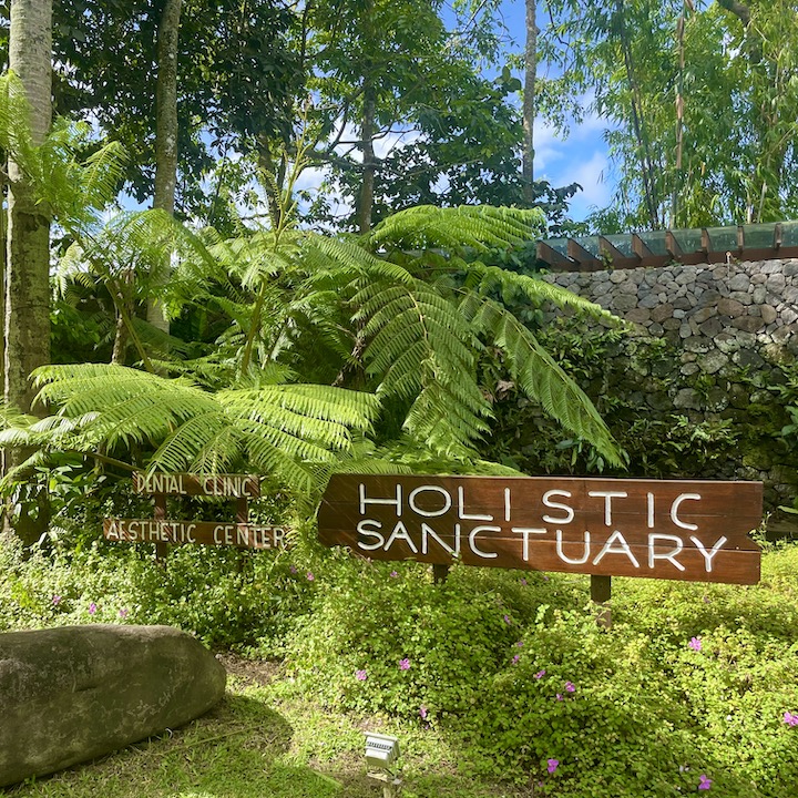 the farm at san benito holistic wellness sanctuary philippines