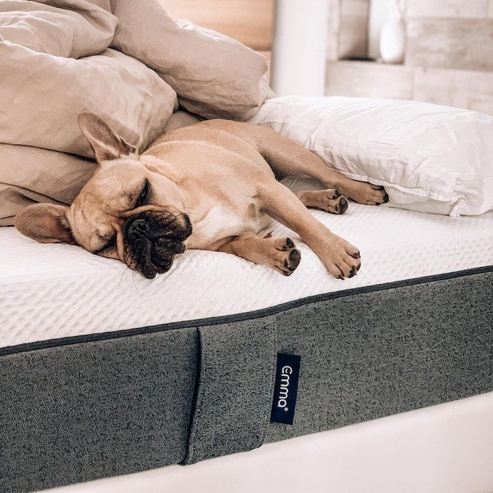mattress hong kong buy bed bedframe home emma breathable allergy free german compact
