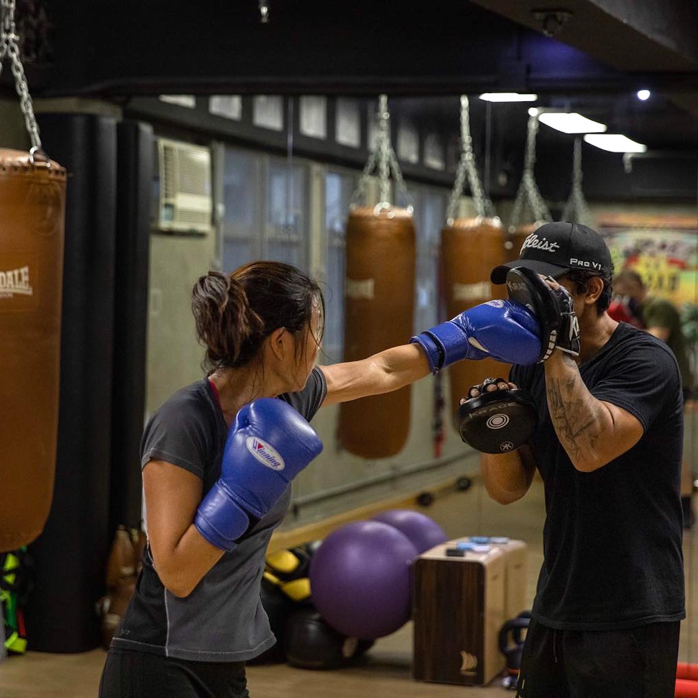 One punch boxing gym