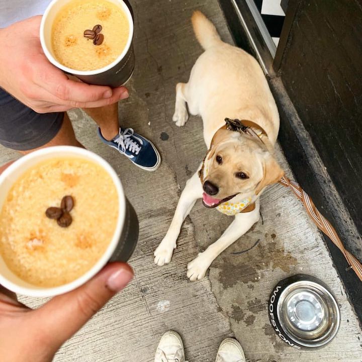 Dog-Friendly Restaurants, Cafes, Bars Hong Kong: Winstons Coffee