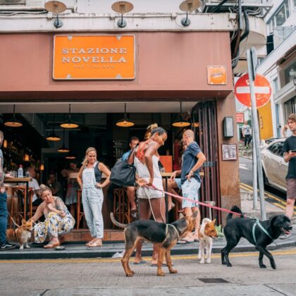 Dog-Friendly Restaurants, Cafes, Bars Hong Kong: Stazione Novella