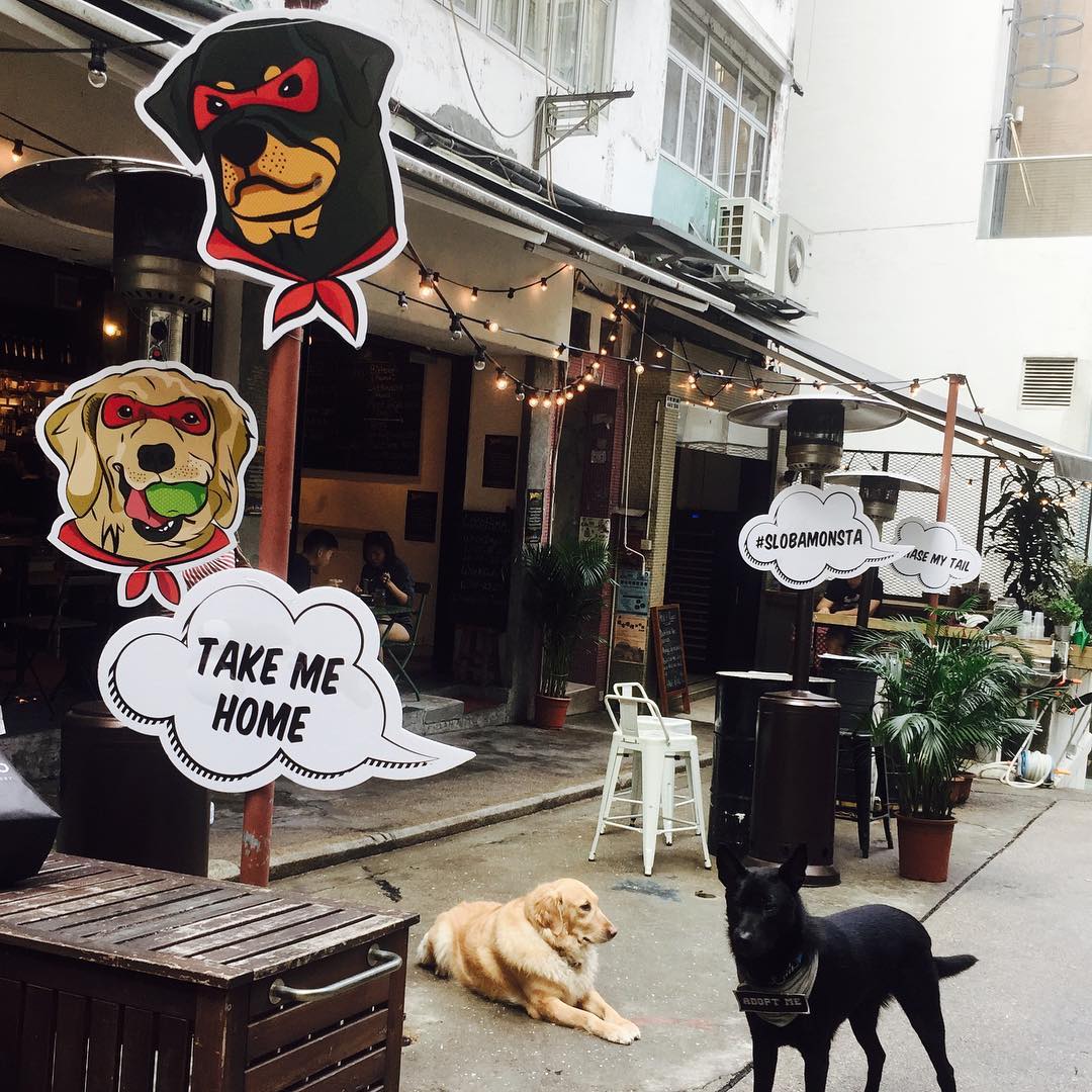 Dog-Friendly Restaurants, Cafes, Bars Hong Kong: Locofama