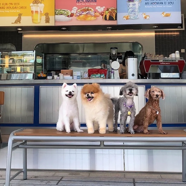 Dog-Friendly Restaurants, Cafes, Bars Hong Kong: Hooman by the Sea