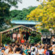hong kong events weekend activities things to do whats on october 2023 placeholder main hero