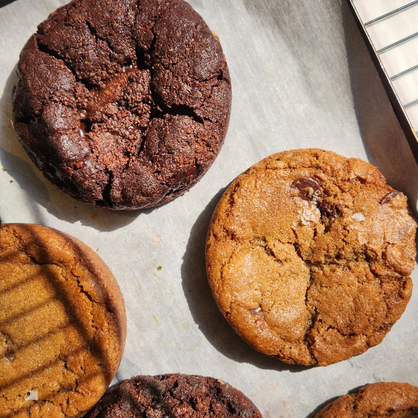 Tai Hang Shops: Cookie Vision