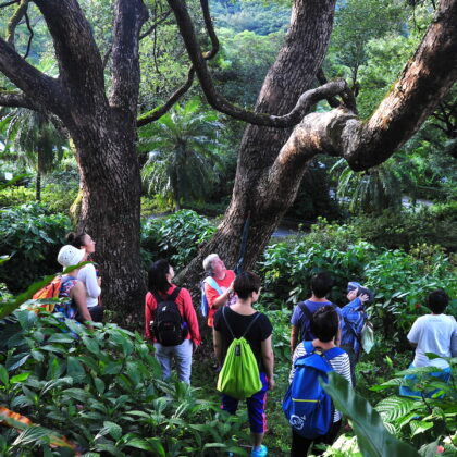 claire elouard hong kong nature workshops kadoorie farm botanic garden