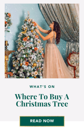 where to buy christmas tree shopping guide