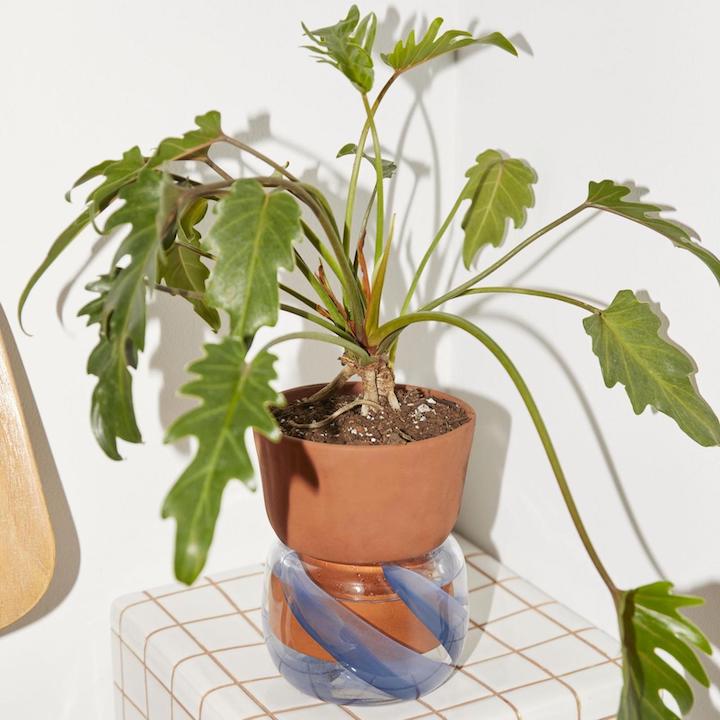 Gift Ideas For Everyone, 2022 Christmas Gift Guide: Anthropologie Self Watering Planter