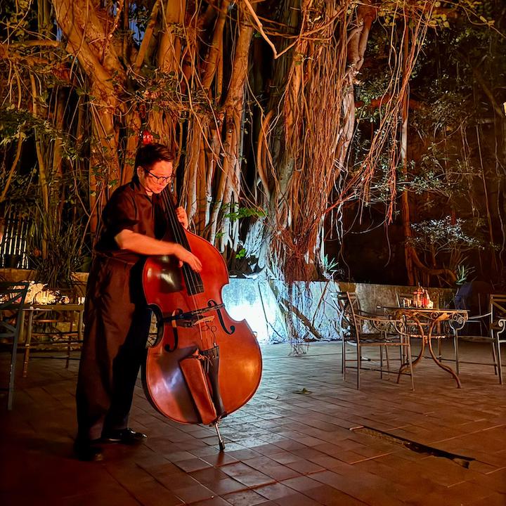 dangerous dinner hong kong cellist