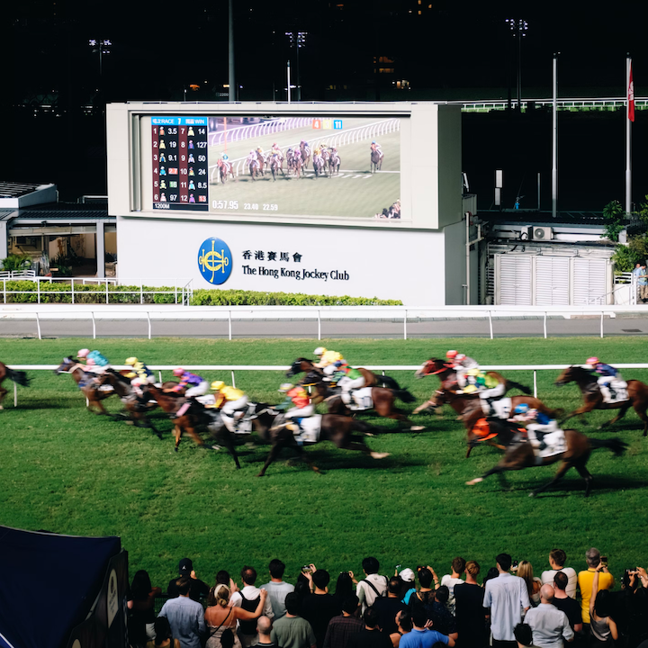 Happy Valley Guide, Hong Kong, Things To Do, Where To Eat, Where To Drink: Happy Valley Races