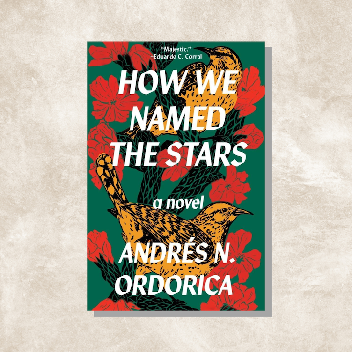 best new books 2024 highly anticipated releases read lifestyle culture how we named the stars andres n ordorica queer romance literary fiction debut novel
