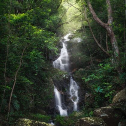 50 Free Things To Do In Hong Kong: Ng Tung Chai Waterfalls
