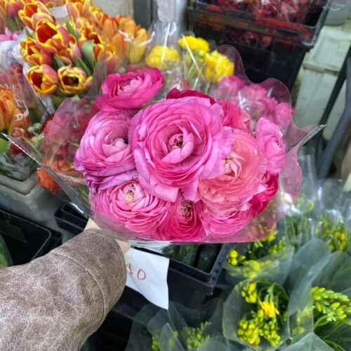 Hong Kong Flower Market Guide, Mong Kok Flower Market