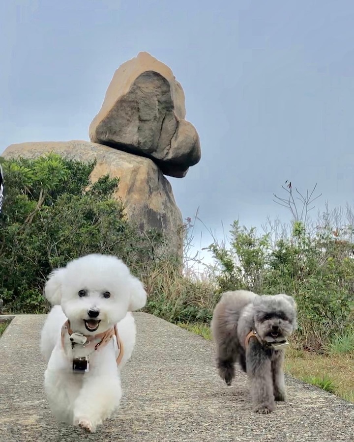 Hong Kong Rock Formations: Poodle Stone, Ling Kok Shan