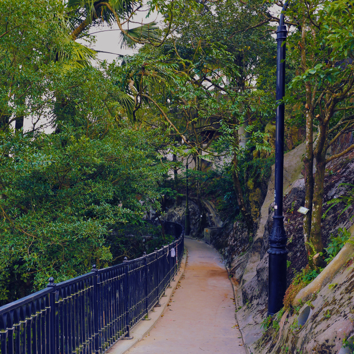 shaded hikes the peak circle walk