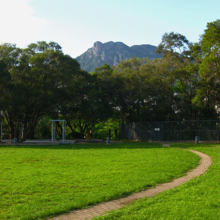 Picnic Lok Fu Service Reservoir Rest Garden