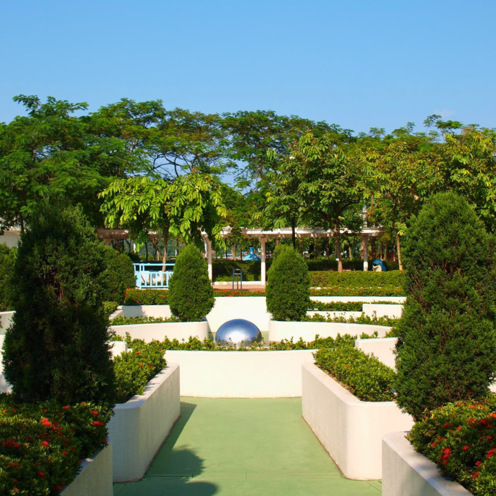 Picnic Ma On Shan Park