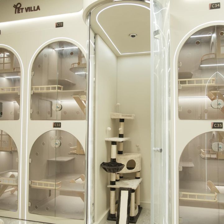 Pet Hotel Services Pet Boarding in Hong Kong_ Pet Villa individual spacious rooms for cats and dogs at pet hotel 