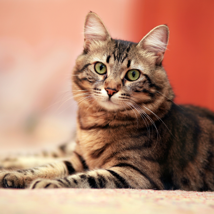 rainy day activities hong kong