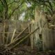 halloween, haunted places in hong kong ghost stories hungry ghost festival whats on tat tak school