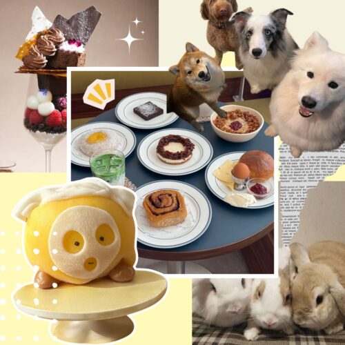 hong kong's most unique cafes, cool, quirky, instagrammable, coffee, wifi