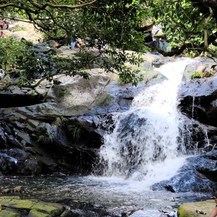 Little Hawaii Trail Beginner trail with a picturesque waterfall