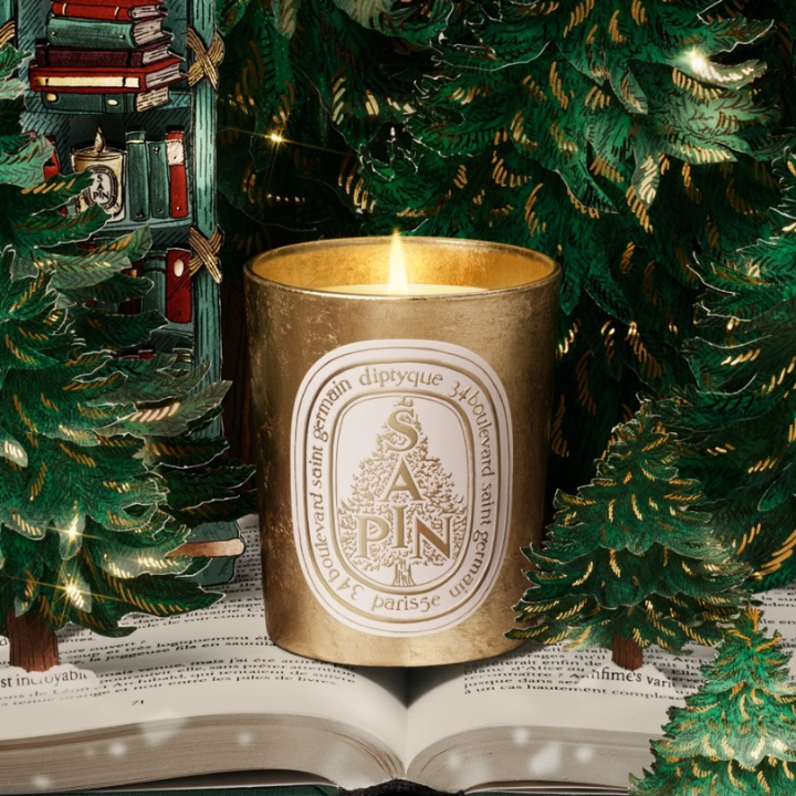 Christmas Gifts For Everyone 2025 Diptique Candle Holiday Sapin 