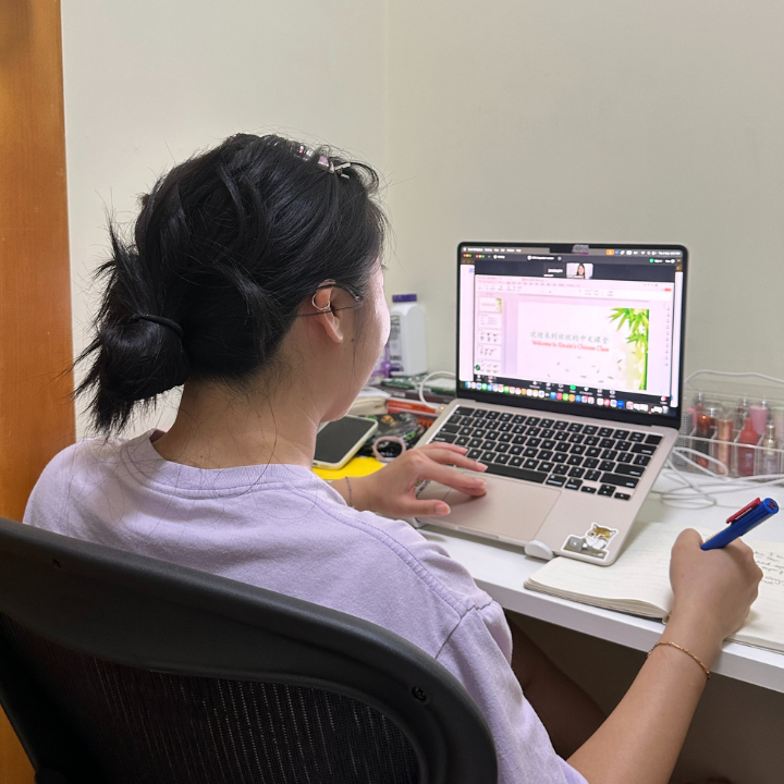 Learning Mandarin Online Classes Linguabox learning Chinese