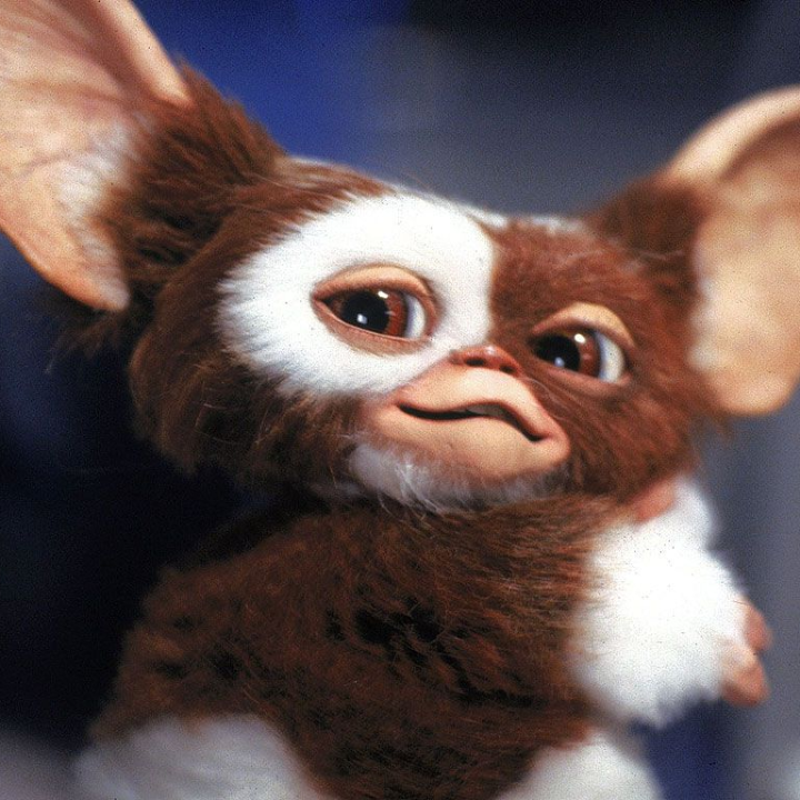 Team Sassy Horror Movie Picks Gremlins horror movie