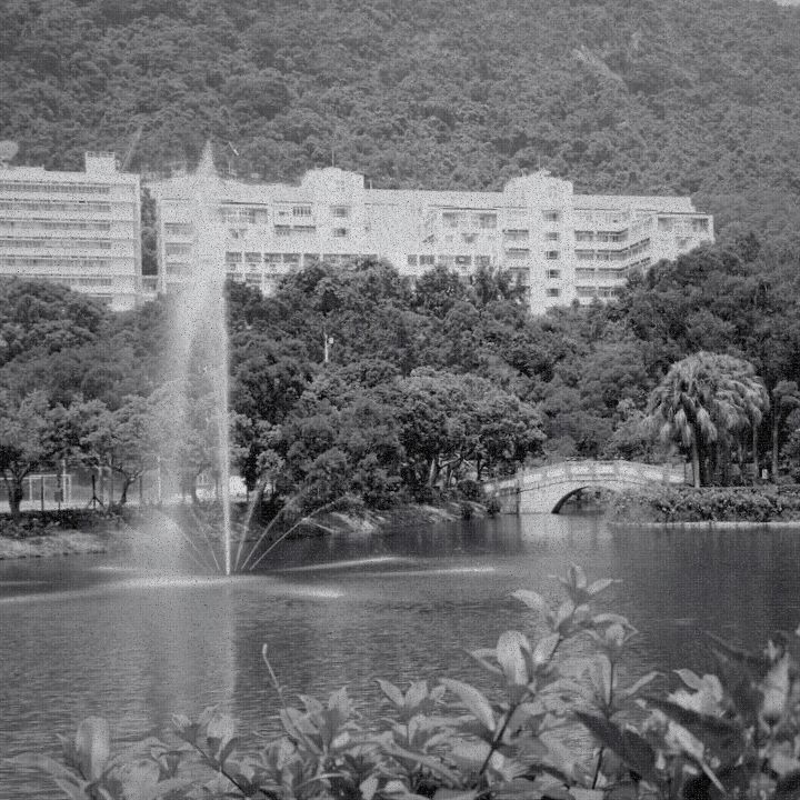 The Lotus Pond – CUHK's heartbroken ghost story