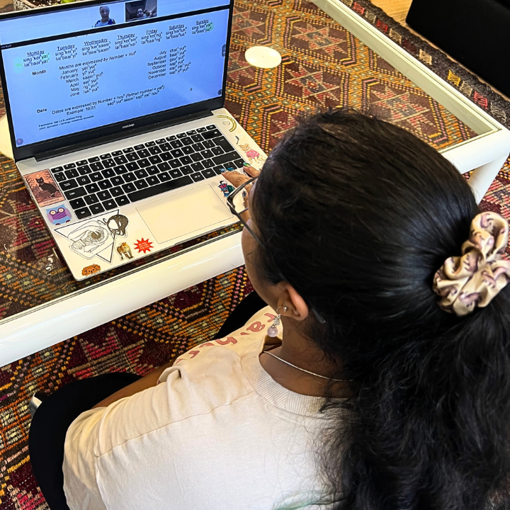 Linguabox learning Chinese classes explaining grammar and vocabulary in mandarin