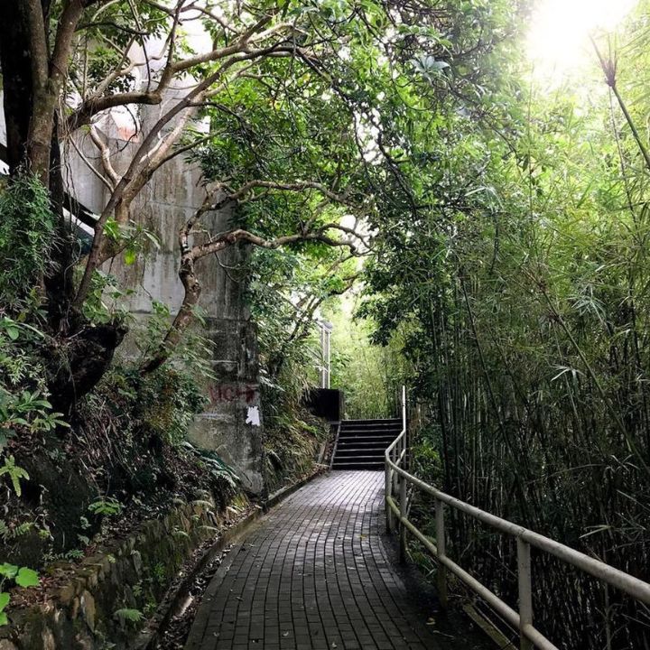 haunted places places in hong kong ghost stories single braid road chinese university of hong kong