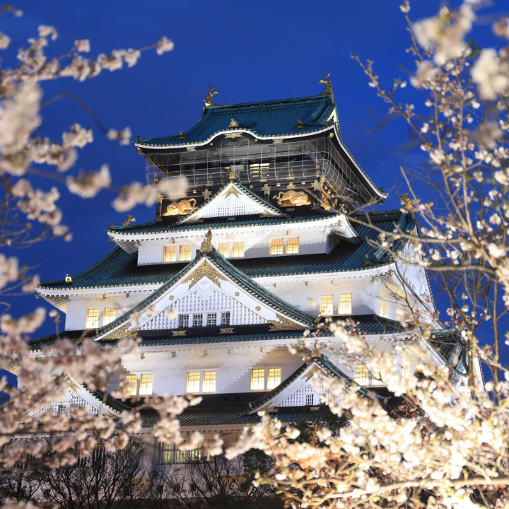 Guide To Osaka And Kyoto 2026 Holiday From Hong Kong Osaka