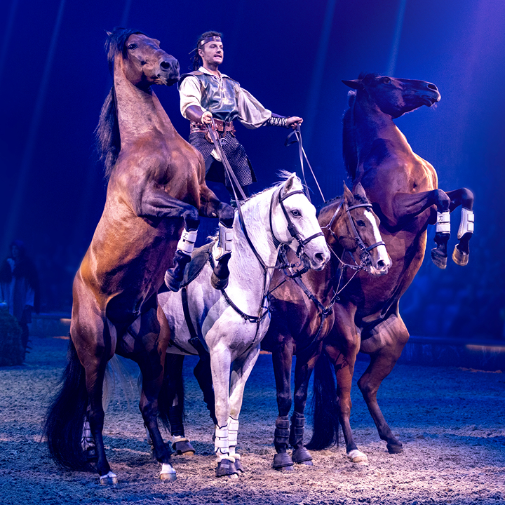 Equestrian show with a rider performing the Hungarian Post trick in CAVALLUNA: Gate To The Otherworld