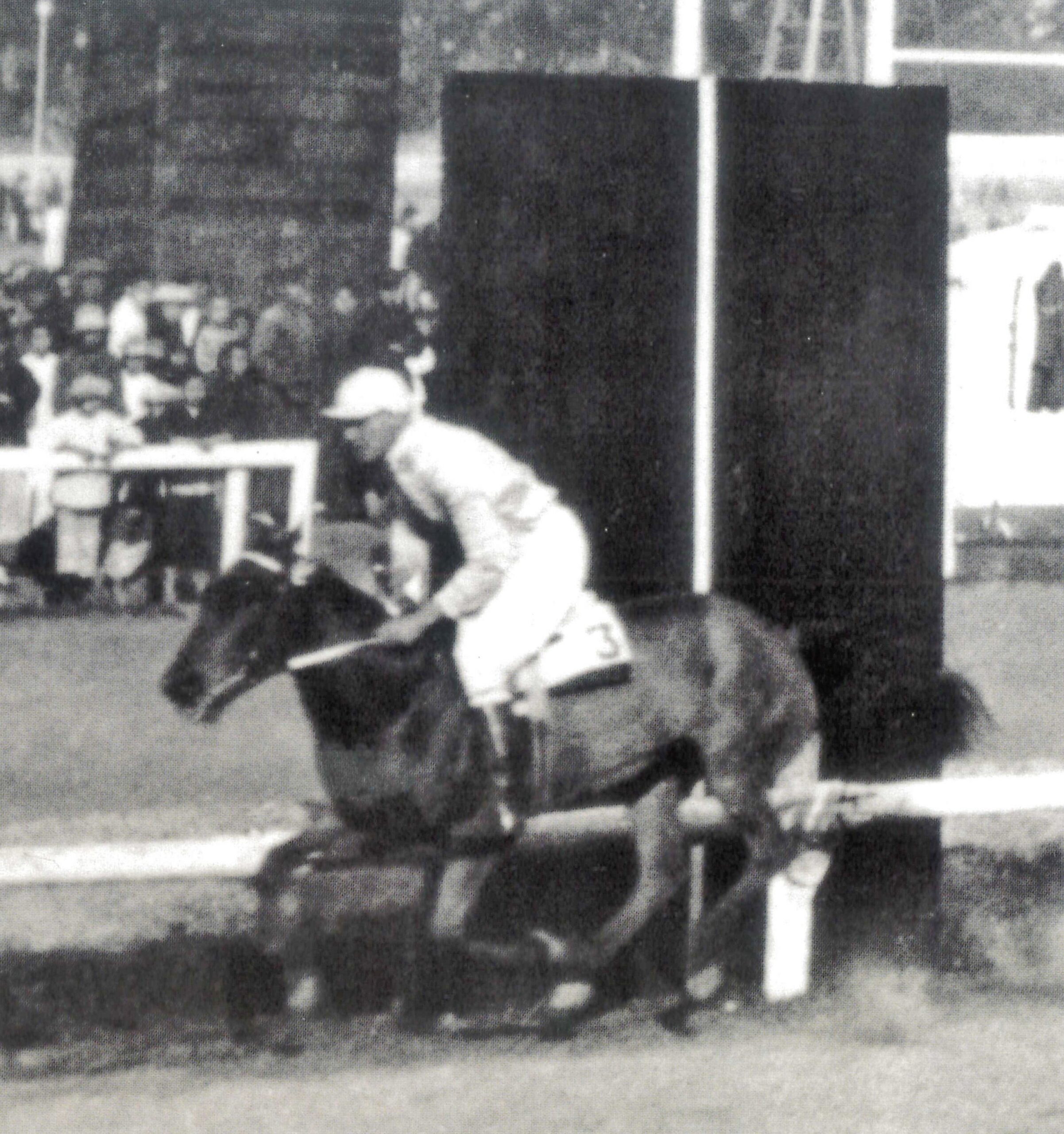 close up photo of a racehorse racing on the happy valley racetrack in the 1930s in hong kong