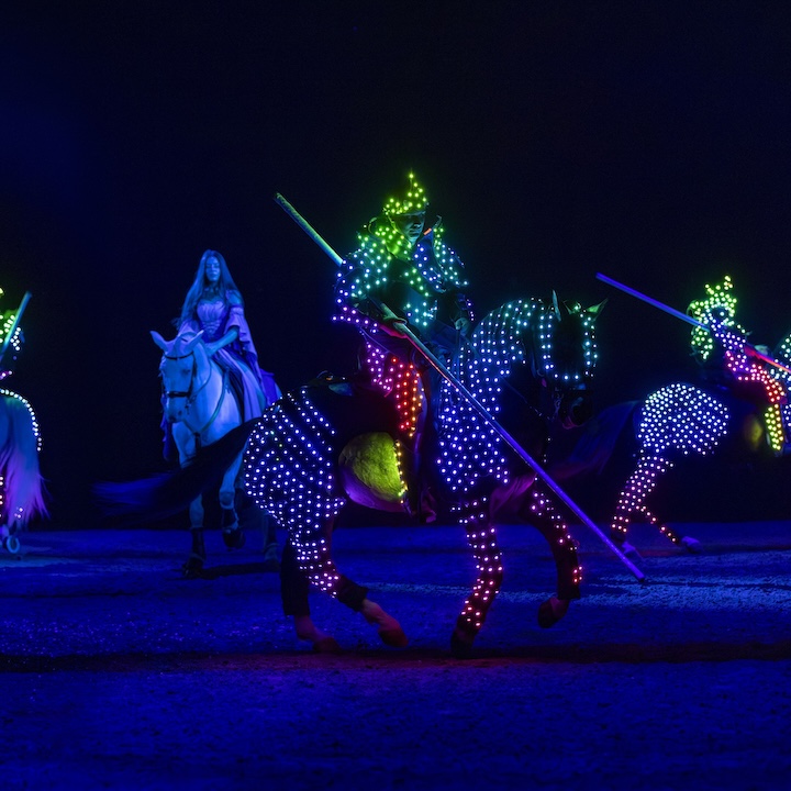 horse show with neon lights in hong kong during august 2026